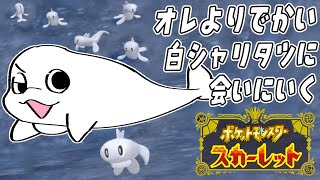 【ポケモンSV】4大サマーイベント！シャリタツ大量発生！【白・まろやか】