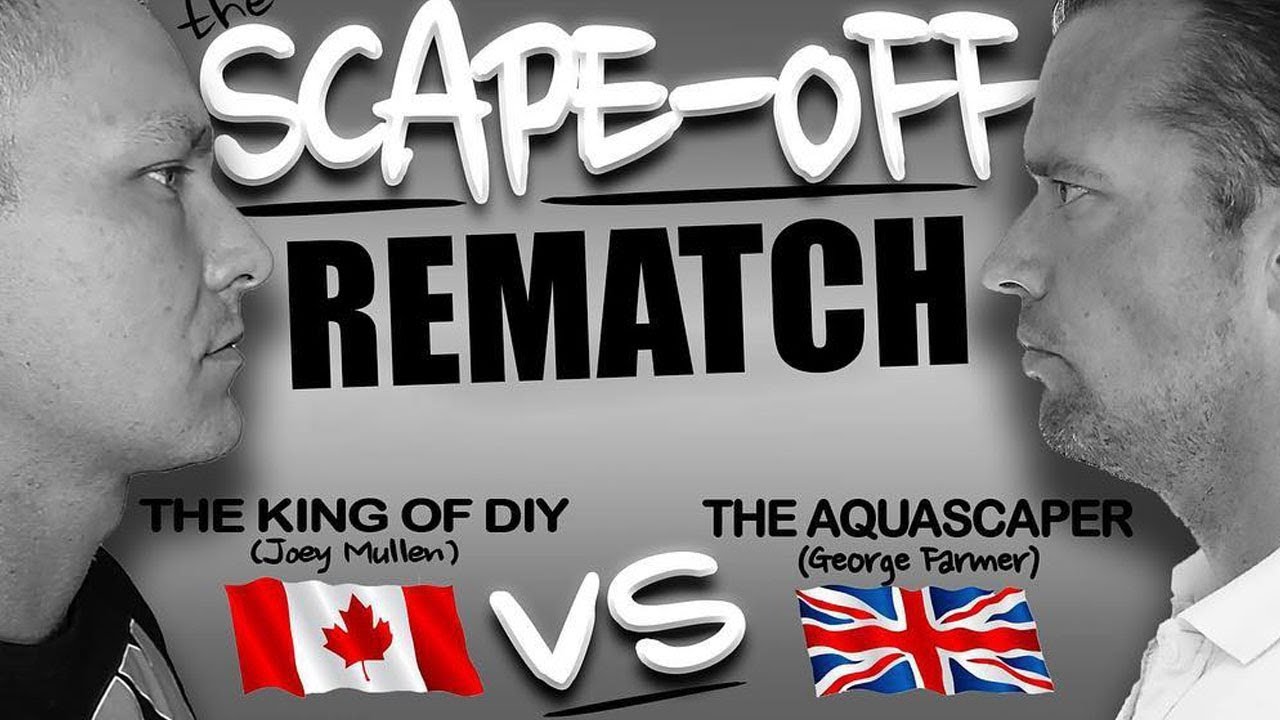 aquarium setup for cichlids Waterbox Scape Off at Aquashella with George Farmer and DIY Joey