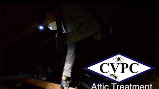 Attic Treatment - Carmel Valley Pest Control