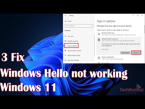 Fix Windows Hello not working on Windows 11