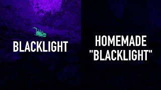 Diy Blacklight Scorpion Hunting?