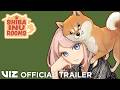 vizmedia