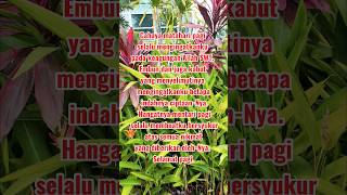 Kata Kata Mutiara Islami Pagi Hari #shorts #katakataislami #katakatamutiara