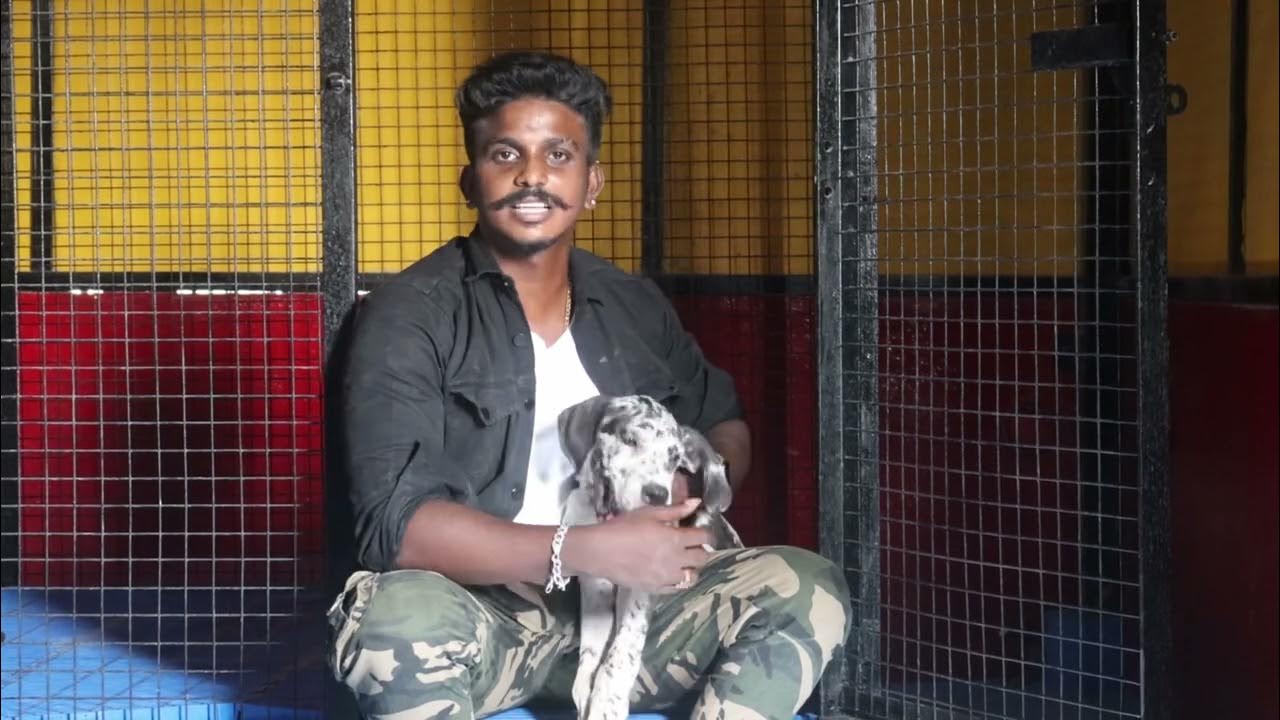 Coimbatore’s new dog kennel YouTube