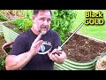 How to QUICKLY Prepare a Garden Bed for Planting Vegetables?