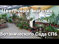 Магазин растений Ботанического Сада/ Мои очередные новички