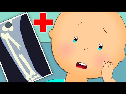 Caillou ve Kırık Kemik | Caillou | Türk Çocuk Çizgi Filmleri | WildBrain Türkçe