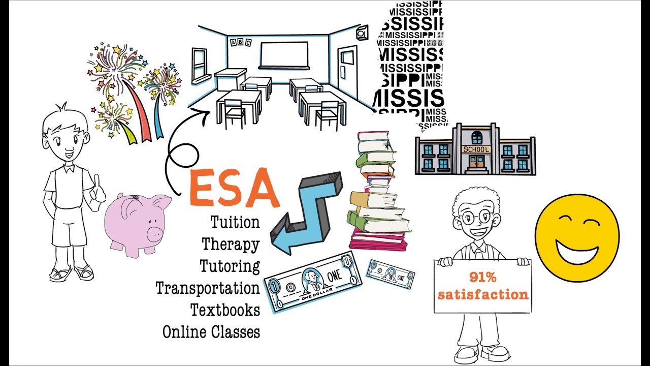 What Is an ESA?