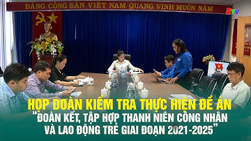 Họp đoàn kiểm tra thực hiện đề án “Đoàn kết, tập hợp thanh niên công nhân và lao động trẻ ”