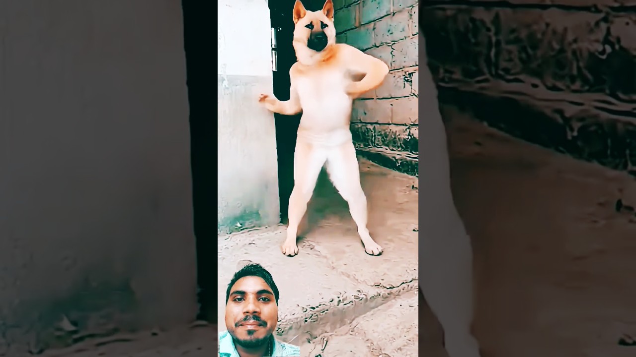 dog Tum andar aa jao mera dost #cat #shorts