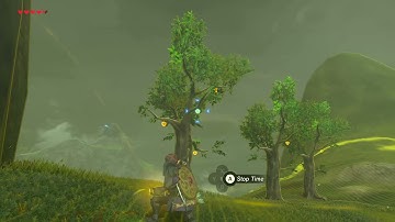 [DAY 152] of finding one korok seed everyday until Botw2 comes out