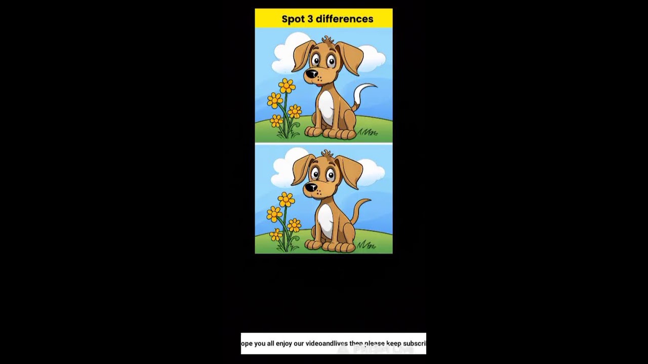 Find 3 differences || Only 10% people can answer this puzzle
