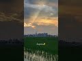 🇯🇵#sunset #love #japan #viral #viralvideo #trending #shorts #video #fyp #youtube #subscribe #like