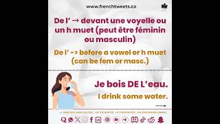 French Grammar: How to Use Partitive Articles Like a Native? #delfjuniorspeakingtest #delfa1 #french