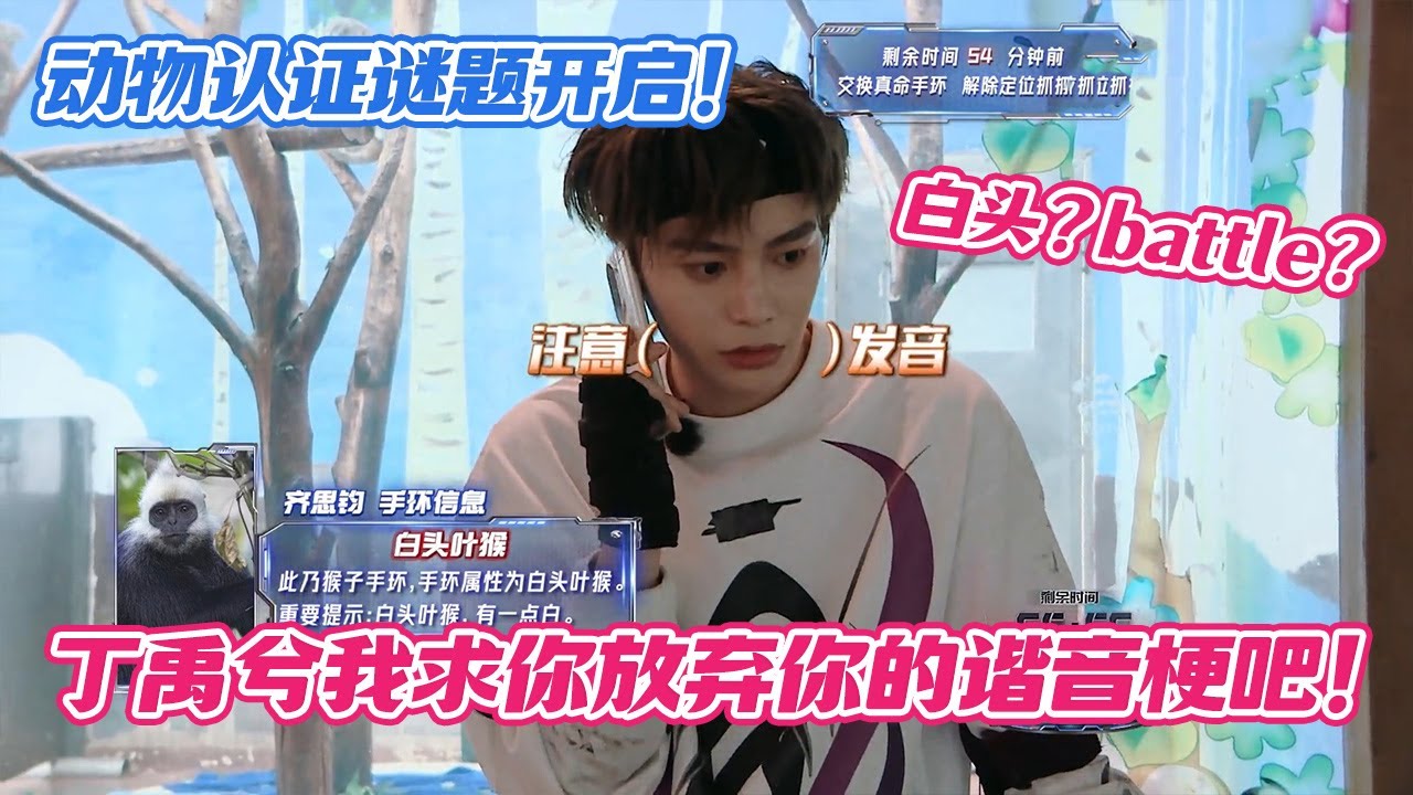 【ENG】动物认证谜题开启！白头？battle？丁禹兮我求你放弃你的谐音梗吧！