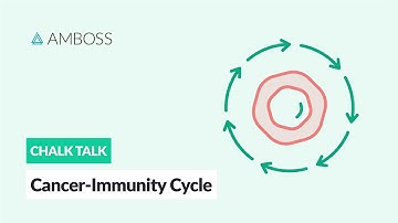 Cancer-Immunity Cycle: 7 Steps