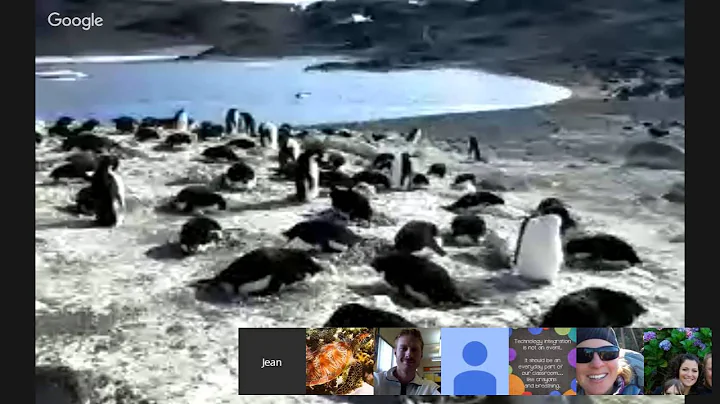 Jean Pennycook: Virtual Field Trip to Antarctica