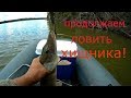 Продолжаем ловить хищника. Выезд14. 08. 17.