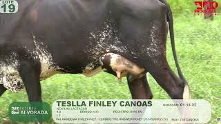 LOTE 19 -  B036