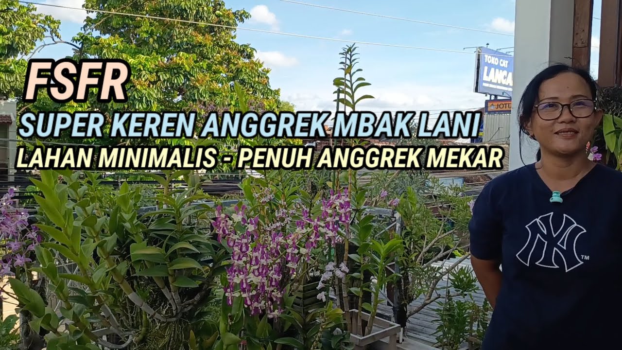 Siasat  Anggrek Lahan Minimalis, Anggrek Mbak Lani Berhasil Dengan FSFR