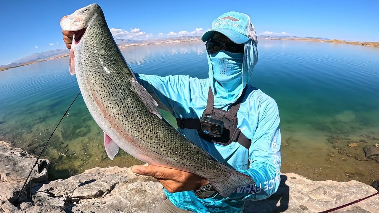 Ловля стальной форели, Ловля радужной форели