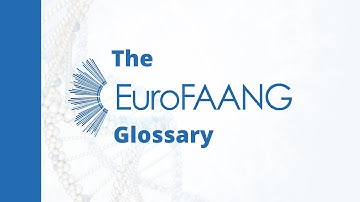 The EuroFAANG Glossary - Teaser