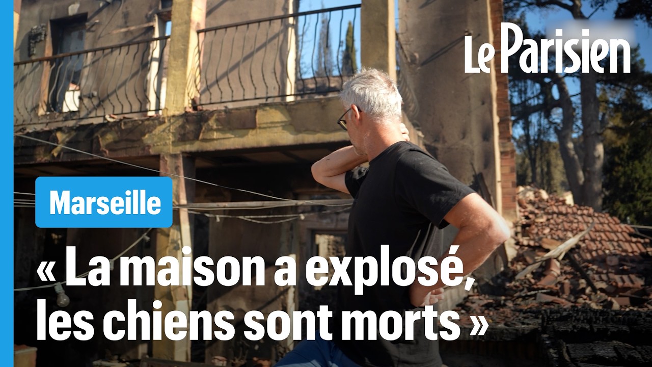 Incendie à Marseille : sur la colline où les gens ont tout perdu