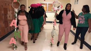 ALPHA KAPPA ALPHA ~ DELTA IOTA CHAPTER ~ PERFEKT 7