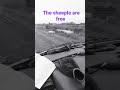 Freedom has started !!