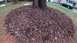 Refreshing a Flowerbed with Pine Bark Nuggets