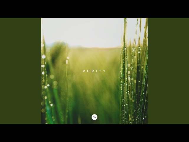 Sine - Purity