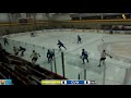 NCAA Men's Hockey vs Concordia 1/19/19