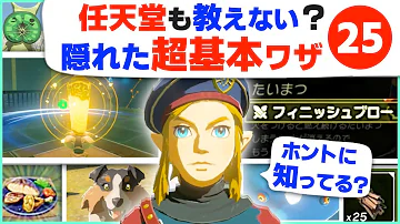 ゼルダの伝説ブレスオブザワイルドバグ技 ゼルダの伝説ブレスオブザワイルドバグ技