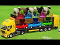 LOAD SHEEPS &amp; TRANSPORT RENAULT CARS WITH LIZARD TRUCK BATTLE CHALLENGE - Farming Simulator 22