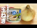 【玉ねぎの簡単レシピ】鯖缶と合わせて炒めるだけ！うますぎる