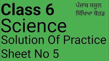 Class 6 | Science | Weekly Competency Practice sheets| Sheet No.5 |PSEB