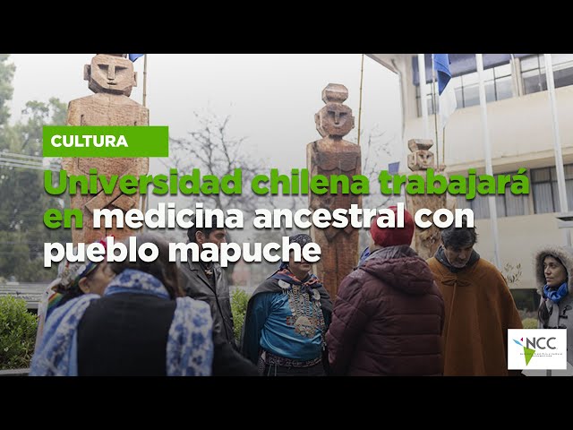 Universidad chilena trabajará en medicina ancestral con pueblo mapuche