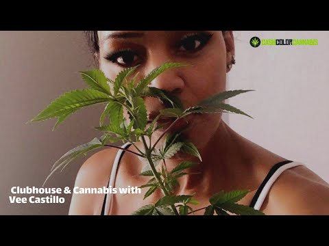 CashColorCannabis Presents Ep 1: Clubhouse & Cannabis with Vee Castillo