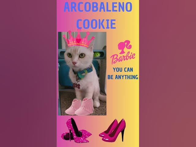 Cute and sweet cat becoming a meow barbie for a day