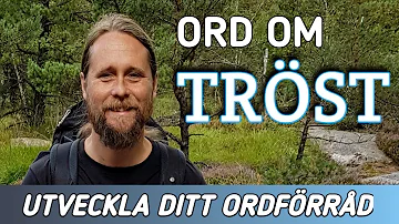 Vad betyder det att trösta någon?