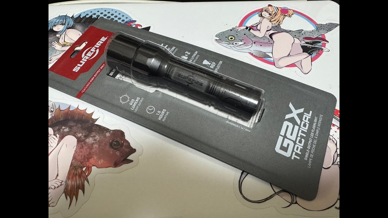 Must-have gear for insect collecting: I bought the ultimate