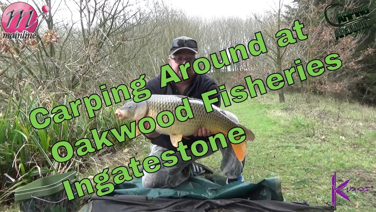 Oakwood Fisheries Ingatestone Essex YouTube