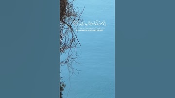 ولا تخزني يوم يبعثون | #يوسف_الصقير#تلاوة_خاشعة #راحة_نفسية #القران_الكريم  #هدوء #قران #قرآن
