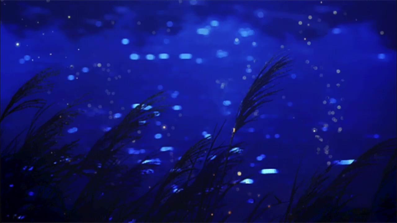Sona Jobarteh - Saya (Slowed & Reverb) Sona Jobarteh - Saya (Slowed & Reverb)