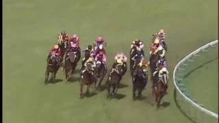 デュランダル　第３４回　高松宮記念 サーニングデール（デュランダル） 高松宮記念（Takamatsunomiya