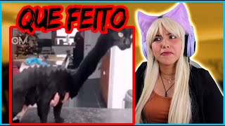RANDOM MEMES #339 (MITRY REACCIÒN)