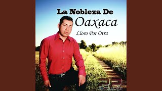 Video voorbeeld van "La Nobleza de Oaxaca - La Niña Celosa"