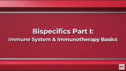Bispecifics Part I: Immune System and Immunotherapy Basics