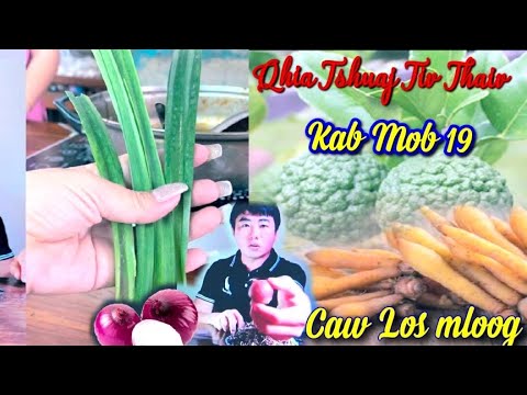 Video: Yuav Hloov Kho Tshuaj Tiv Thaiv Kab Mob Rau Hauv Computer Li Cas