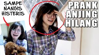 PRANK ANJING HILANG KE PACAR  !! ENDINGNYA BIKIN TERHARU !!